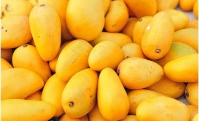 ​芒果怎么切开吃方便（吃了30年芒果，才知道芒果可以这样切，开吃方便，不脏手