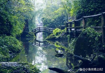 ​成都周边小众的自驾旅游景点