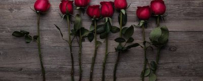 ​21朵黑纱玫瑰的寓意 黑纱玫瑰花代表什么,黑纱包红玫瑰什么意思?-简书