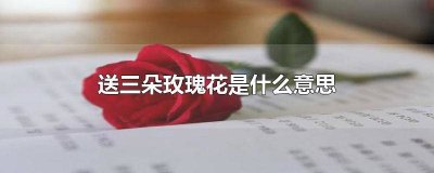 ​送三朵玫瑰花是什么意思呀 送三朵红玫瑰花是什么意思