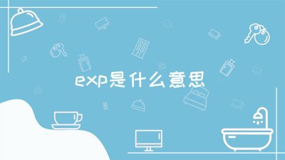 ​exp是什么意思