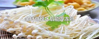 ​金针菇焯水后可以放冰箱吗能放多久啊 金针菇焯水后就放冰箱里可以吗?