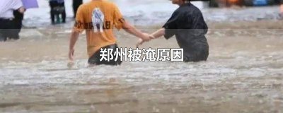 ​哪里泄洪淹了郑州 郑州被洪水淹