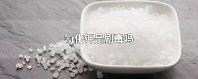 ​氰与氢氧化钾反应 氢氧化钾批发