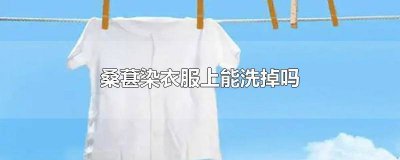 ​桑葚染衣服上 桑葚染衣服上用你米醋可以吗