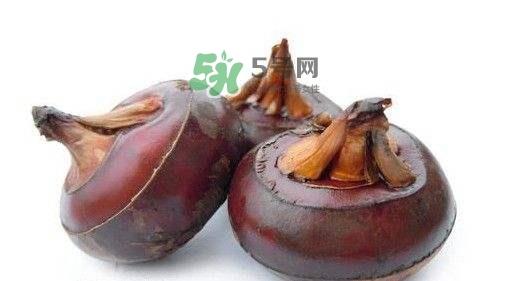 野荸荠怎么吃？野荸荠的食用功效