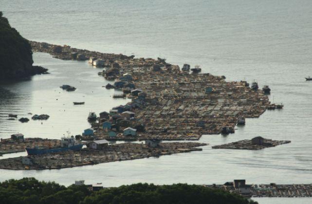 我国最美的“水上城市”，漂在海面上，建筑材料很特殊！