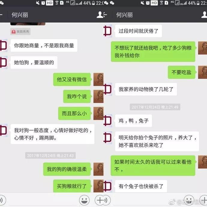 何兴丽事件-柯基走失，找到时却被扔下6楼