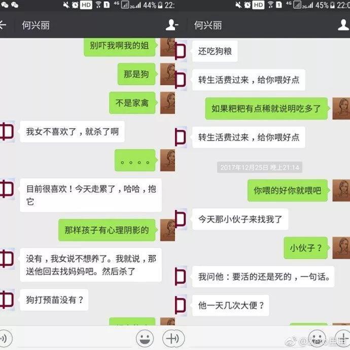 何兴丽事件-柯基走失，找到时却被扔下6楼