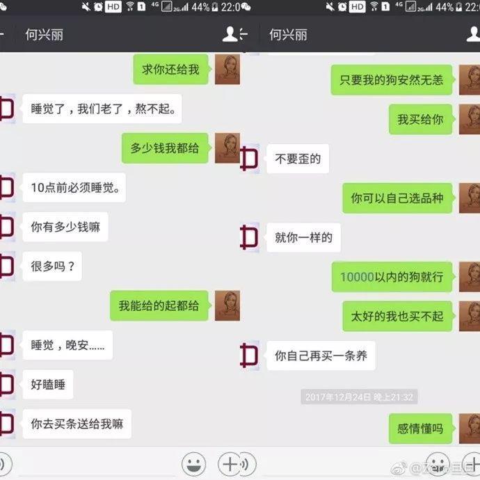 何兴丽事件-柯基走失，找到时却被扔下6楼