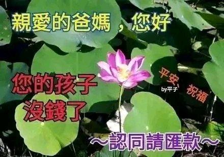 搞笑图片：找妈妈讨生活费表情包｜妈，我没钱了