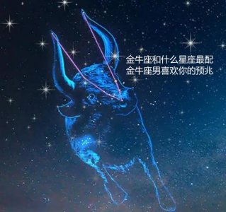 ​金牛座和什么星座最配 金牛座男喜欢你的预兆