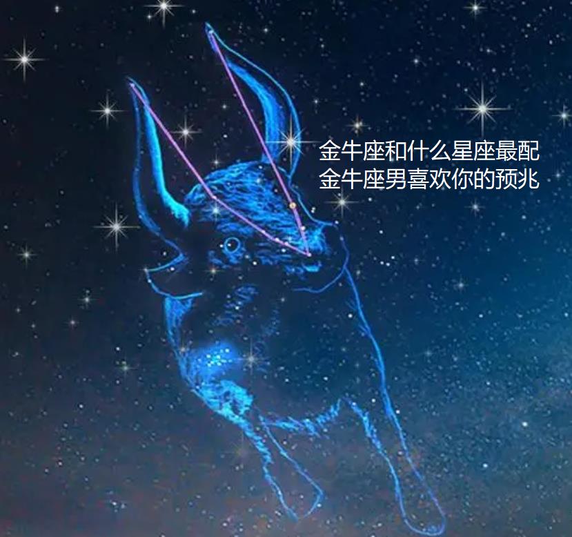 金牛座和什么星座最配 金牛座男喜欢你的预兆