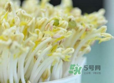 ​豆芽什么季节吃？豆芽什么时候有