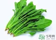 菠菜吃多了会怎么样?菠菜吃多了有什么害处?