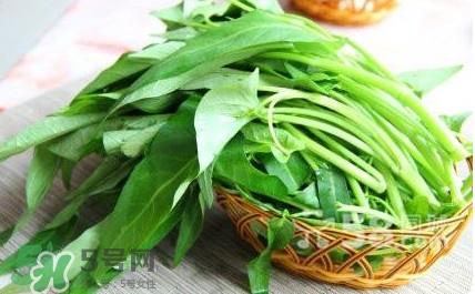 空心菜能和虾一起吃吗？虾可以和空心菜一起吃吗