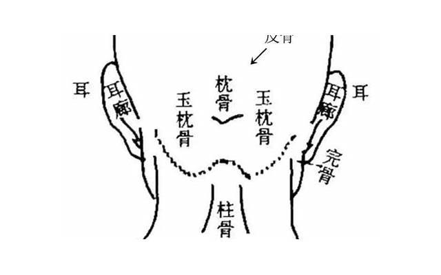 能增大男人阴jing的锻炼方法有什么？