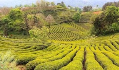 ​山东泗水哪里好玩的地方 泗水有什么好玩的地方旅游景点