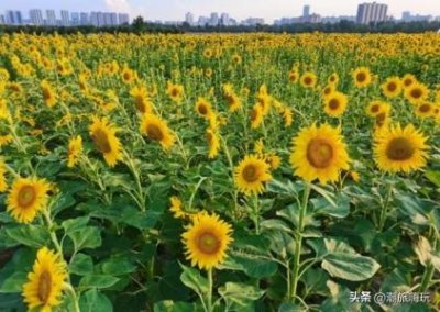 ​北京到靖边自驾路线北京到靖边自驾路线怎么走