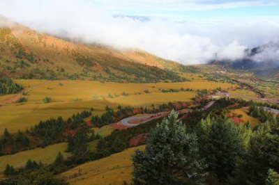 ​听说乐陵修旅游路了乐陵风景区