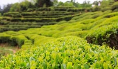 ​吕梁方山县旅游景点方山县周边景点