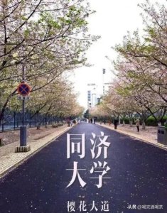 ​同济大学有哪些王牌专业？