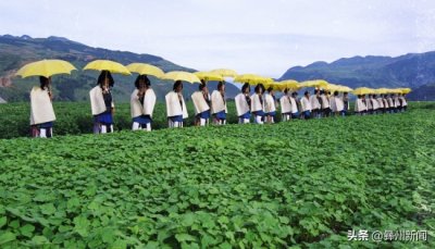 ​凉山州情简介（2021年9月更新）