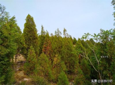 ​新乡凤凰山森林公园，风景漂亮免门票，公交直达仅需1小时