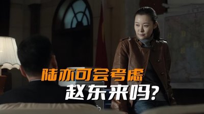 ​《人民的名义》陆亦可会考虑赵东来吗？他可是京州市公安局的局长