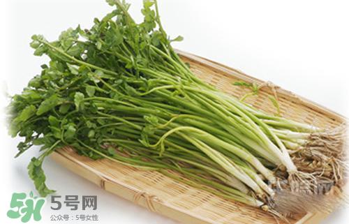 吃野芹菜会中毒吗？吃野芹菜中毒了怎么办？